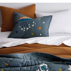 ISO: Crate and Barel Kids Space Party Pillow Sham